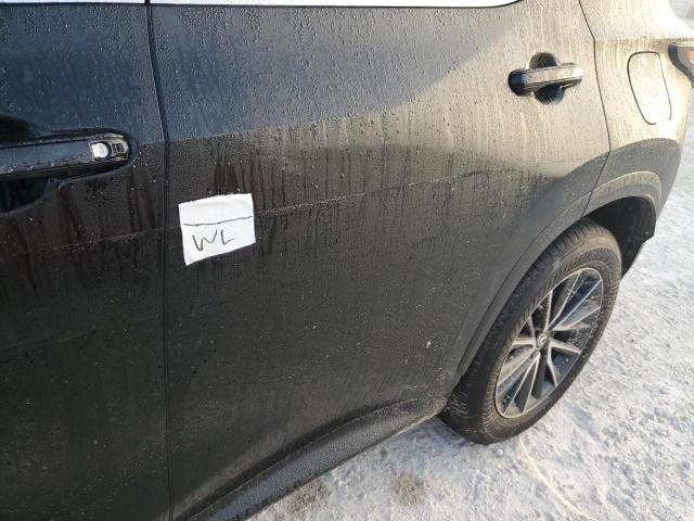2024 LEXUS NX 250 2T2GDCAZ6RC009754