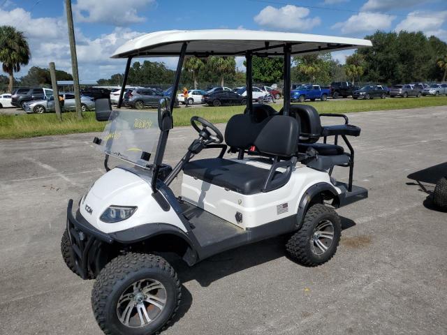 ASPT GOLF CART 2021 white   FLA116886 photo #3