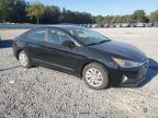 Lot #3024975170 2019 HYUNDAI ELANTRA SE