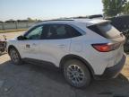 Lot #2960126057 2021 FORD ESCAPE SE