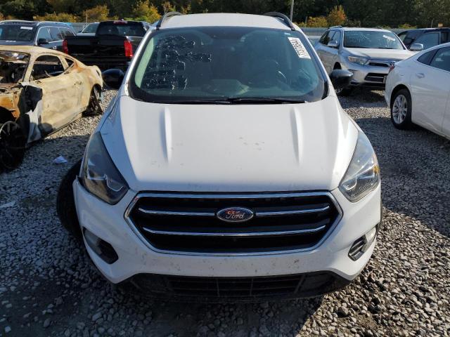 2019 FORD ESCAPE SE - 1FMCU0GD8KUB74948