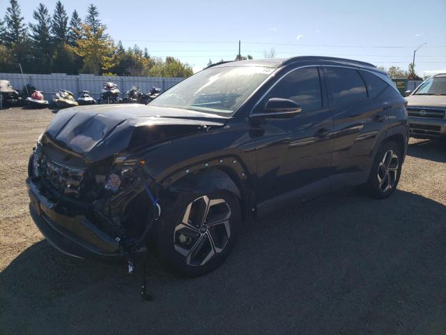 Vin: km8jddd27ru145565, lot: 75625264, hyundai tucson ult ultimate 2024 img_1