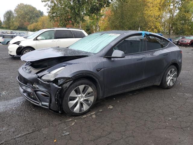 2023 TESLA MODEL Y - 7SAYGDEE7PF809939