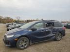 2024 HONDA ODYSSEY EX - 5FNRL6H58RB007584