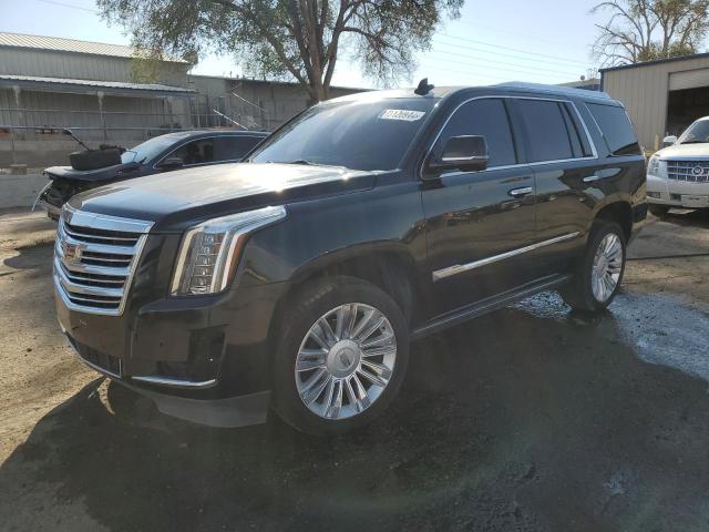 CADILLAC ESCALADE P 2016 green  gas 1GYS4DKJ0GR400778 photo #1