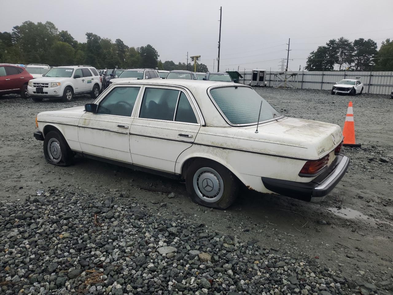 Lot #3009410558 1978 MERCEDES-BENZ 240 CLASS