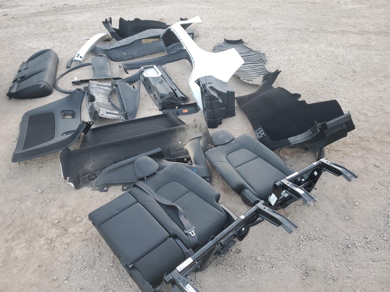 Lot #2986998782 2024 TESLA MODEL Y