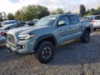 2023 TOYOTA TACOMA DOU - 3TMCZ5ANXPM540442