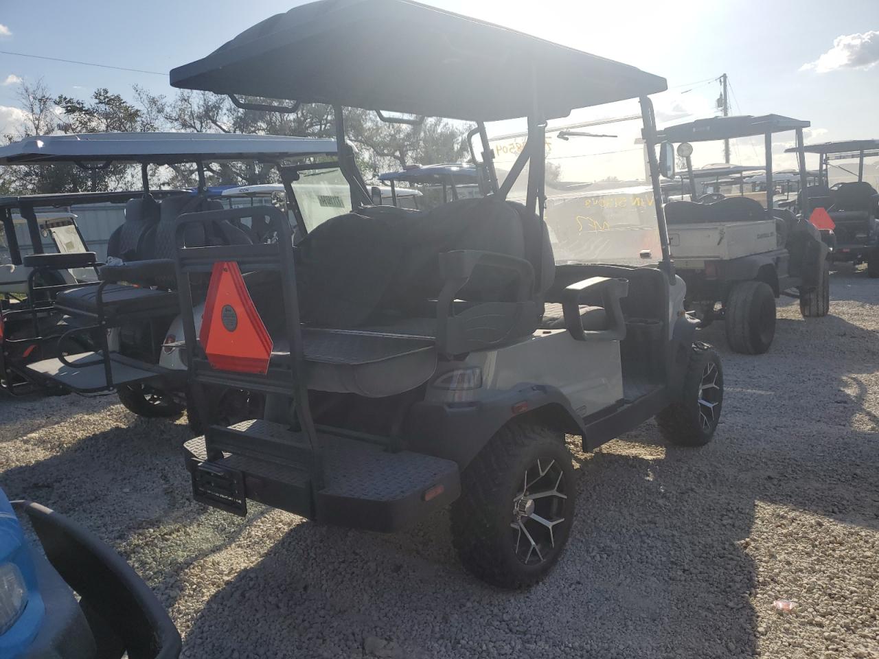 Lot #3028227017 2024 DENA E GOLF CAR