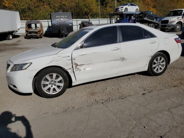 TOYOTA CAMRY HYBR 2008 white sedan 4d hybrid engine 4T1BB46K38U042181 photo #1