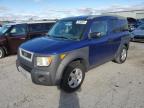 HONDA ELEMENT EX photo