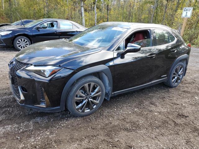 LEXUS UX 250H 2020 black  hybrid engine JTHR9JBHXL2030961 photo #1