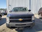 Lot #3023460279 2013 CHEVROLET SILVERADO