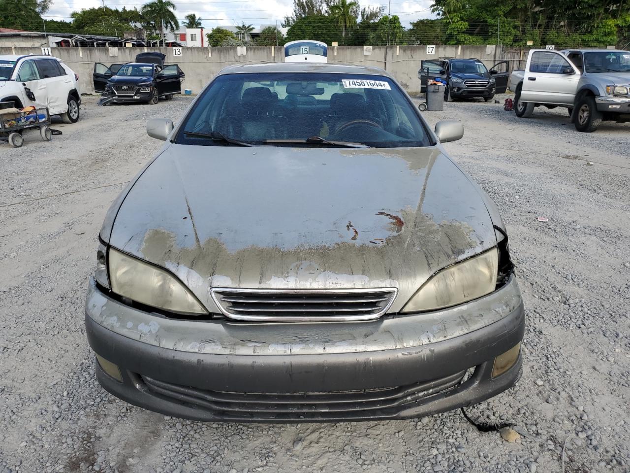 Lot #2969904965 2000 LEXUS ES 300