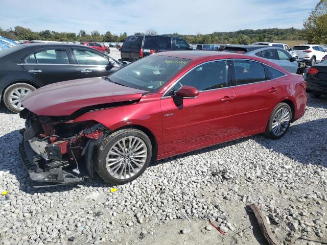 2019 TOYOTA AVALON XLE - 4T1B21FB1KU003157