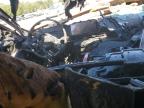 Lot #2940879498 2024 HYUNDAI ELANTRA SE