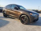 ALFA ROMEO STELVIO SP photo