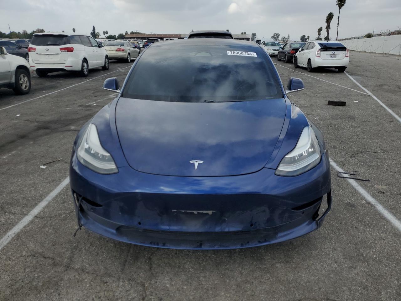 Lot #3033030019 2019 TESLA MODEL 3