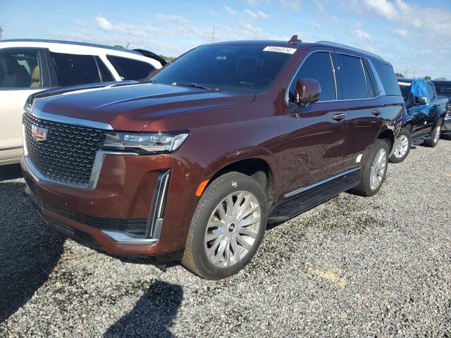 2023 CADILLAC ESCALADE P #2979336725