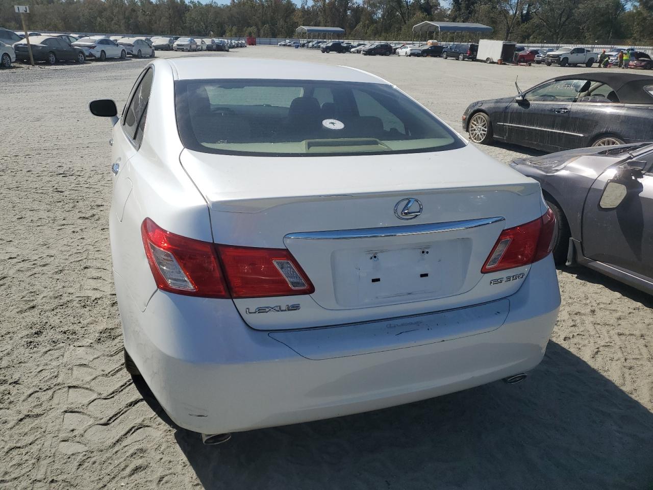 Lot #3006504087 2009 LEXUS ES 350