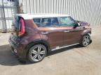 KIA SOUL + photo