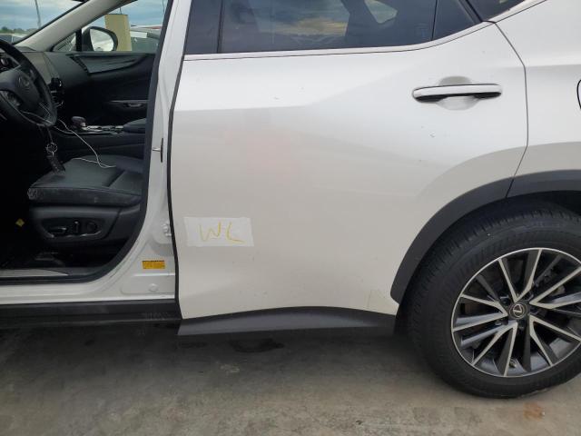 2023 LEXUS NX 250 JTJADCAZ5P2006346