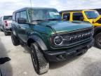 FORD BRONCO BAS photo