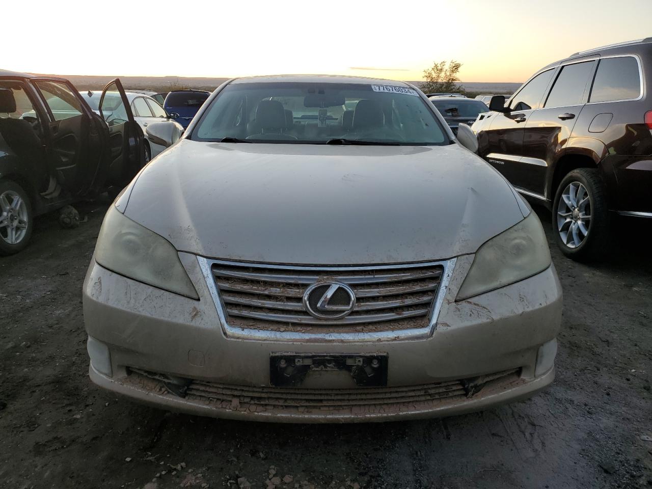 Lot #2962533734 2011 LEXUS ES 350