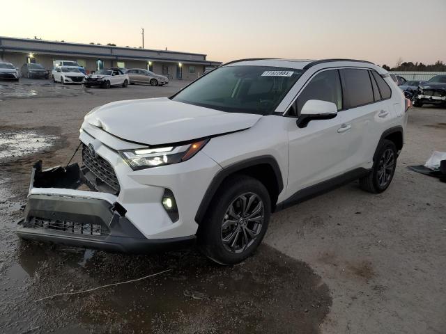 TOYOTA RAV4 XLE P