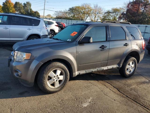 2011 FORD ESCAPE XLT #2986609256