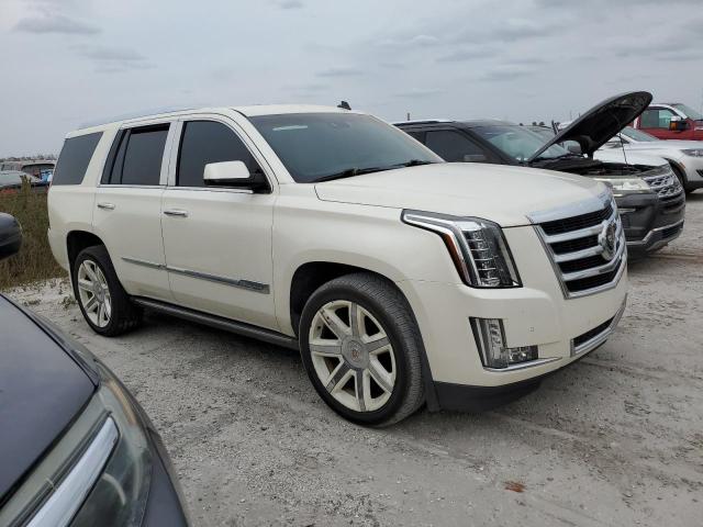 2015 CADILLAC ESCALADE P - 1GYS3CKJ2FR209021