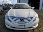 Lot #3003992506 2011 HYUNDAI SONATA GLS