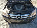 Lot #3024019275 2010 MERCEDES-BENZ GLK 350