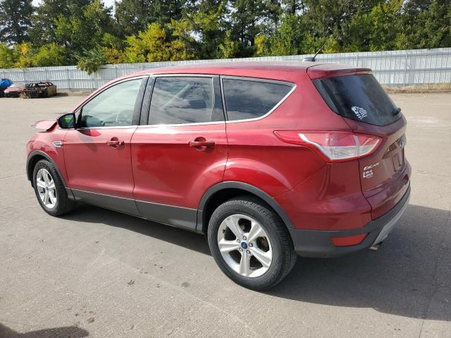 VIN 1FMCU0G93EUE52493 2014 Ford Escape, SE no.2