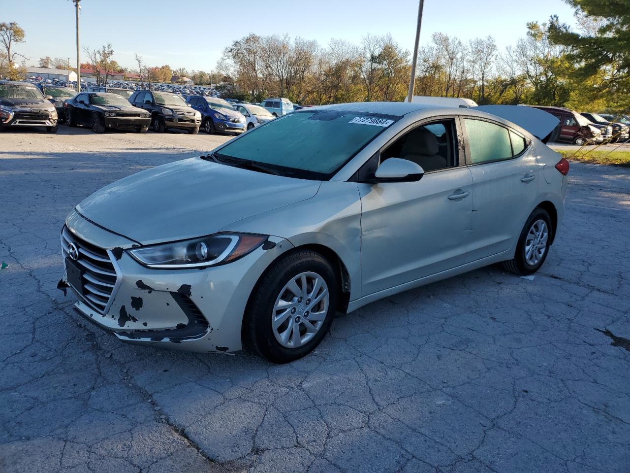 Lot #2952685197 2017 HYUNDAI ELANTRA SE