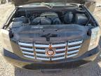 Lot #3025206676 2008 CADILLAC ESCALADE E