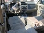 FORD ESCAPE XLT снимка