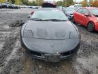 Lot #3004300722 1995 PONTIAC FIREBIRD