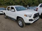 TOYOTA TACOMA DOU снимка