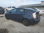 Lot #3024064619 2013 TOYOTA PRIUS