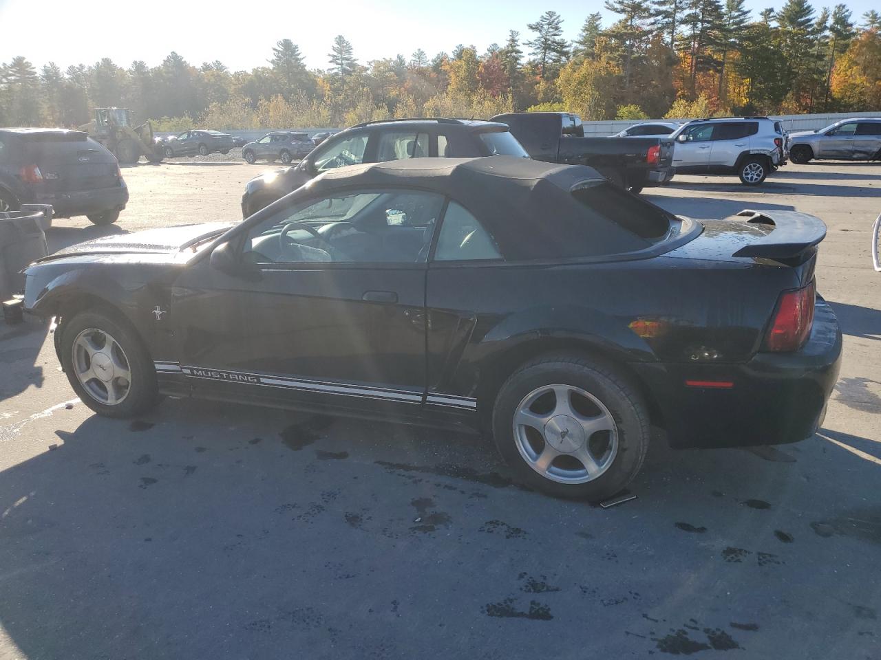 Lot #2943273964 2001 FORD MUSTANG