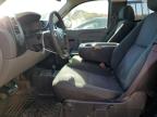 Lot #3023460279 2013 CHEVROLET SILVERADO