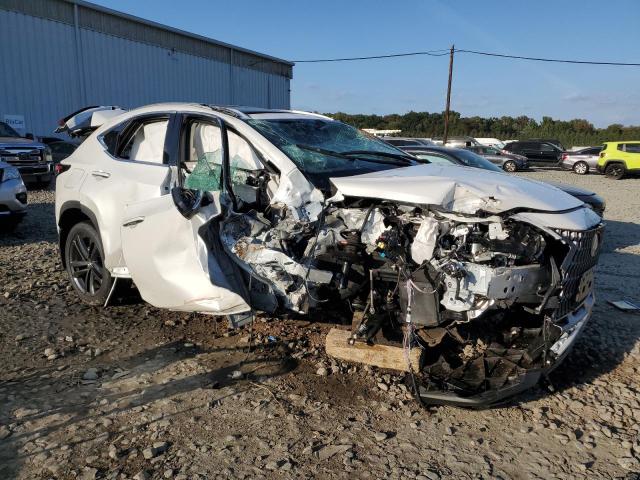 2024 LEXUS NX 450H LU JTJHKCFZ4R2025566