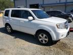 HONDA PILOT EXL photo