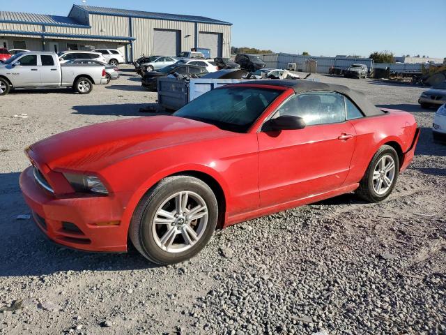 VIN 1ZVBP8EM5E5293206 2014 Ford Mustang no.1