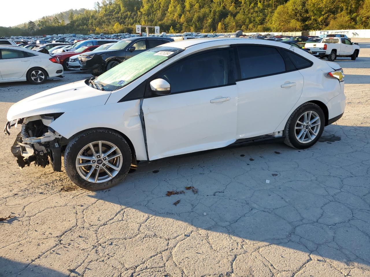 Lot #3009164238 2017 FORD FOCUS SE