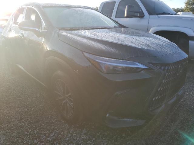 2022 LEXUS NX 250 2T2ADCAZ4NC002446
