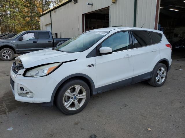 VIN 1FMCU0GXXDUB16501 2013 Ford Escape, SE no.1