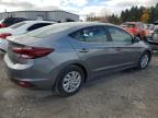 HYUNDAI ELANTRA SE photo