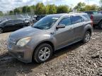 CHEVROLET EQUINOX LT photo